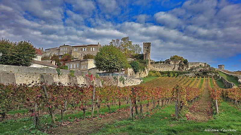 Fasthotel - Saint Emilion Est Montcaret Eksteriør bilde
